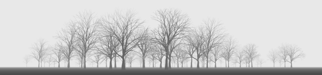 Пособие на организацию похорон